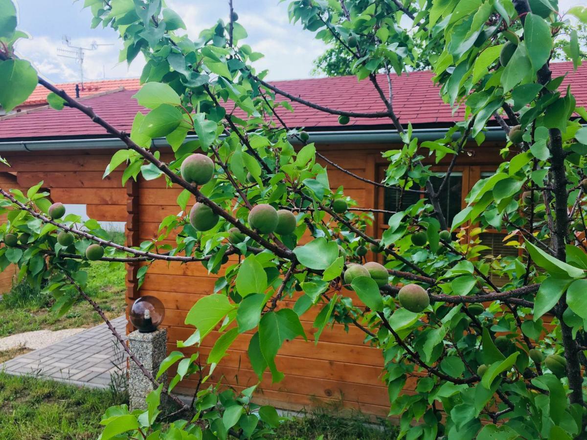 Ubytovani U Lisaka Foxe Villa Bulhary Buitenkant foto
